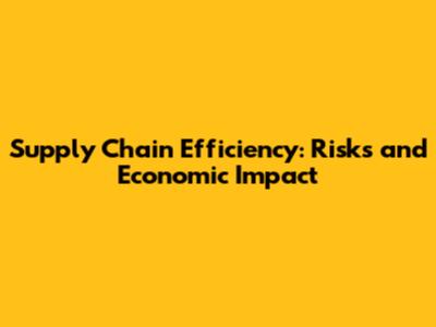 Supply Chain Efficiency: Risks and Economic Impact
