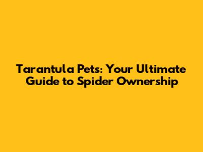 Tarantula Pets: Your Ultimate Guide to Spider Ownership