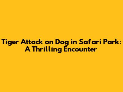 Tiger Attack on Dog in Safari Park: A Thrilling Encounter