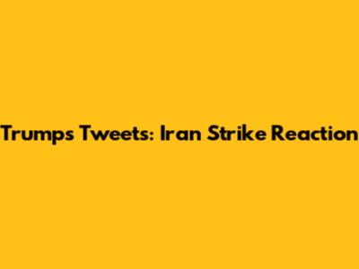 Trump's Tweets: Iran Strike Reaction