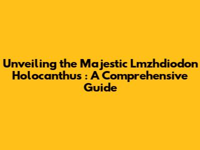 Unveiling the Majestic *Lmzhdiodon Holocanthus*: A Comprehensive Guide