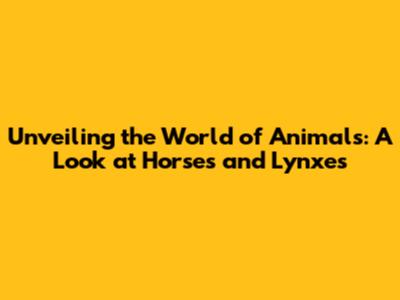 Unveiling the World of Animals: A Look at Horses and Lynxes