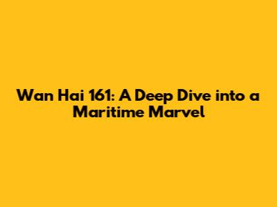 Wan Hai 161: A Deep Dive into a Maritime Marvel
