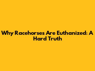 Why Racehorses Are Euthanized: A Hard Truth